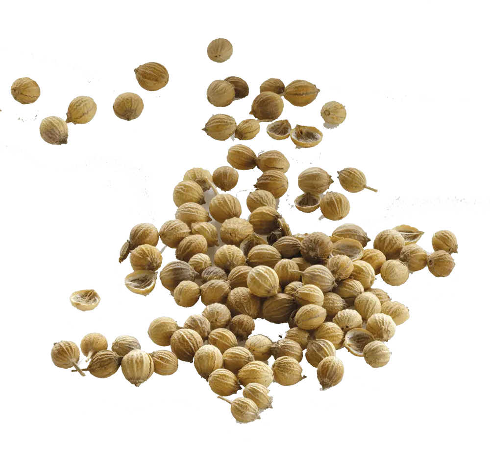 Spices 4
