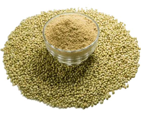 Spices 1