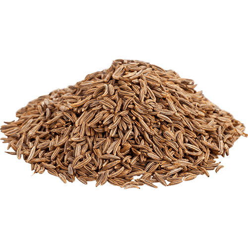 Spices 3