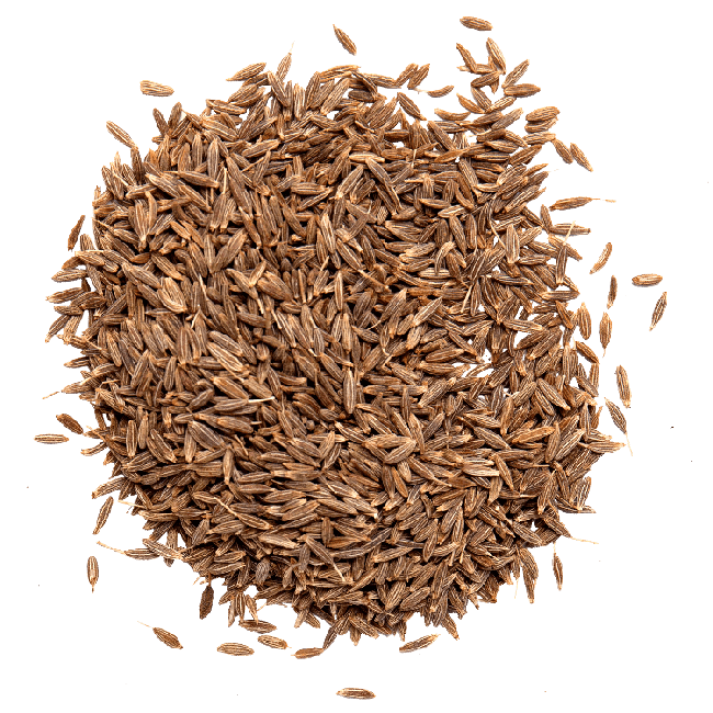 Spices 1